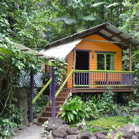 קייפ טריבוליישן Rainforest Hideaway מראה חיצוני תמונה