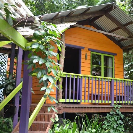 קייפ טריבוליישן Rainforest Hideaway מראה חיצוני תמונה