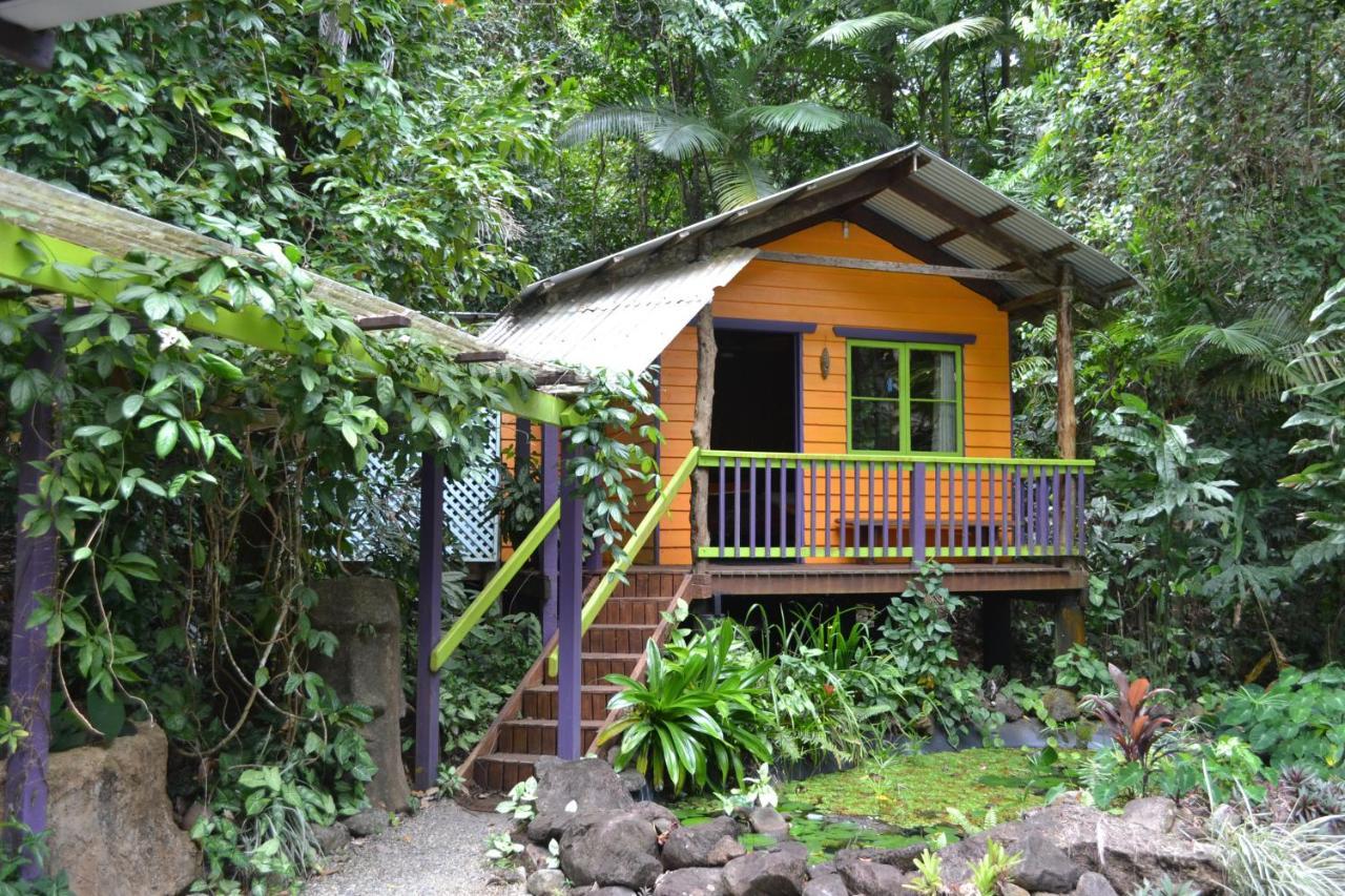 קייפ טריבוליישן Rainforest Hideaway מראה חיצוני תמונה