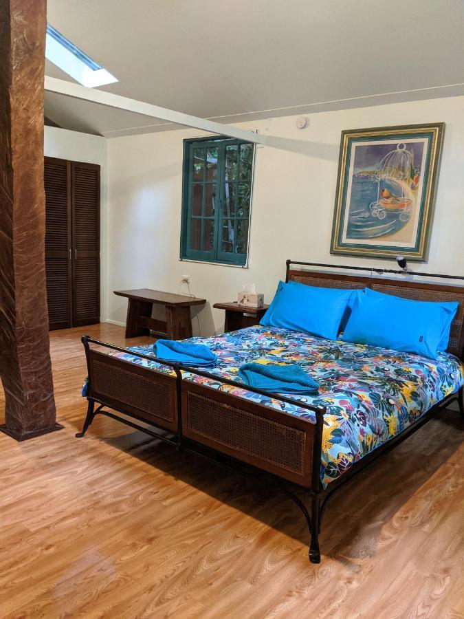 קייפ טריבוליישן Rainforest Hideaway מראה חיצוני תמונה