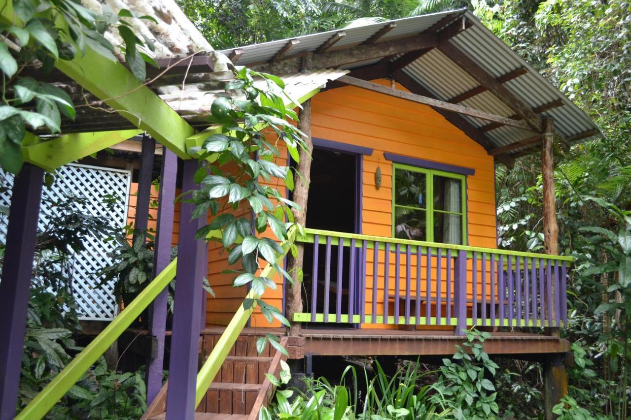 קייפ טריבוליישן Rainforest Hideaway מראה חיצוני תמונה