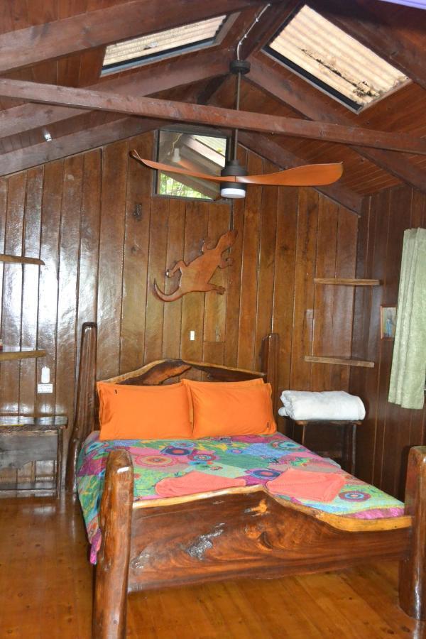 קייפ טריבוליישן Rainforest Hideaway מראה חיצוני תמונה