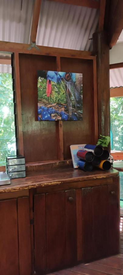 קייפ טריבוליישן Rainforest Hideaway מראה חיצוני תמונה