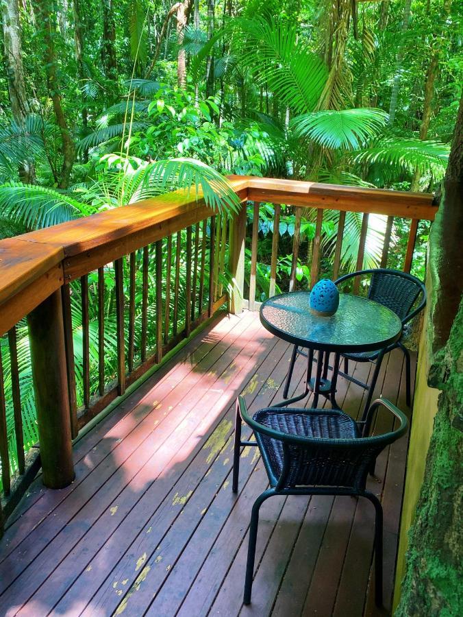 קייפ טריבוליישן Rainforest Hideaway מראה חיצוני תמונה