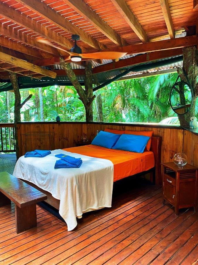 קייפ טריבוליישן Rainforest Hideaway מראה חיצוני תמונה