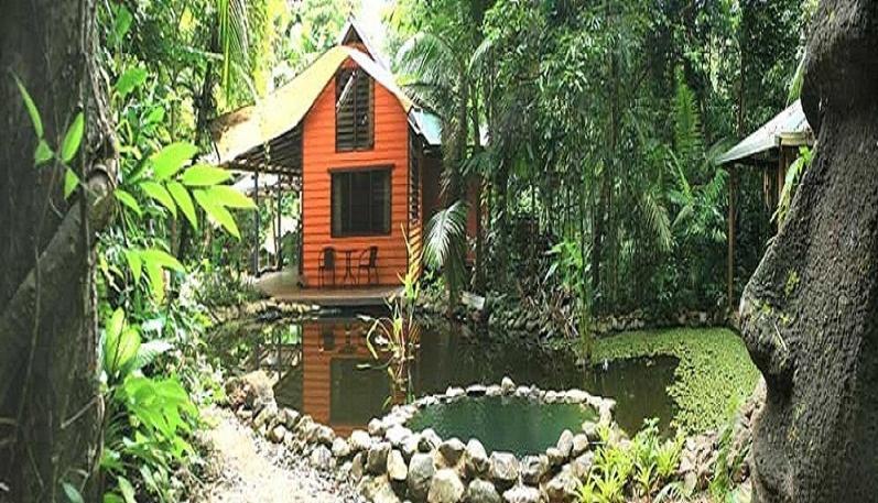 קייפ טריבוליישן Rainforest Hideaway חדר תמונה