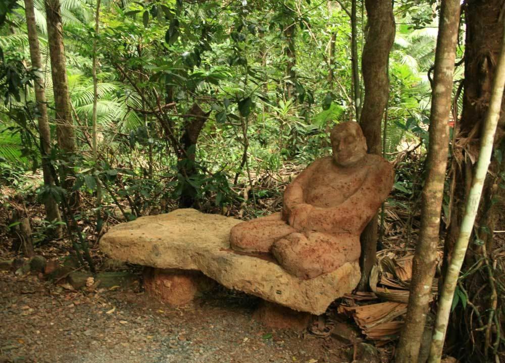 קייפ טריבוליישן Rainforest Hideaway מראה חיצוני תמונה