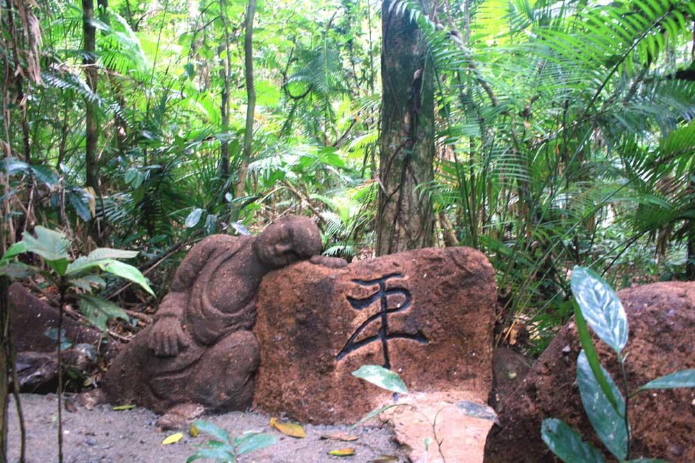 קייפ טריבוליישן Rainforest Hideaway מראה חיצוני תמונה