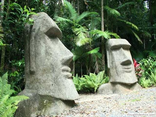 קייפ טריבוליישן Rainforest Hideaway מראה חיצוני תמונה