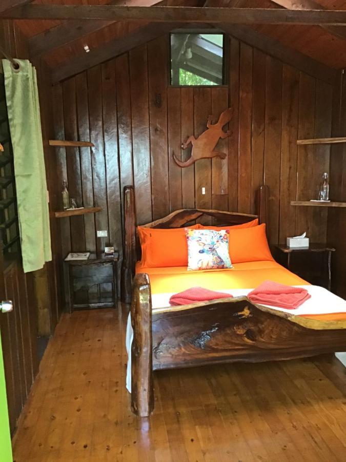 קייפ טריבוליישן Rainforest Hideaway מראה חיצוני תמונה